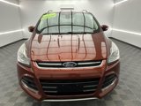 Used 2016 Ford Escape Titanium image 2