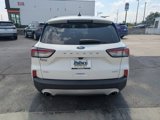 Used 2020 Ford Escape SEL image 5