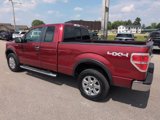 Used 2014 Ford F150 XLT w/ Equipment Group 302A Luxury image 4