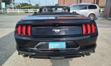 Used 2019 Ford Mustang Premium image 3