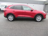 Used 2023 Ford Escape Active w/ Tech Pack #2 image 4