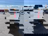 New 2024 Chevrolet Silverado 1500 LT Trail Boss w/ Protection Package image 4