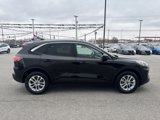 Used 2022 Ford Escape SE w/ Convenience Package image 6