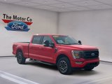 Certified 2022 Ford F150 XLT image 3