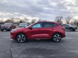 New 2025 Ford Escape ST-Line Elite w/ Premium Technology Package image 2