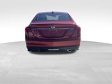 Used 2020 Cadillac CT5 Luxury w/ Sun And Sound Package image 3