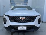 New 2025 Cadillac XT4 Premium Luxury image 3