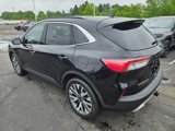 Used 2020 Ford Escape Titanium image 5