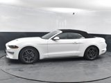 Used 2022 Ford Mustang Premium image 4