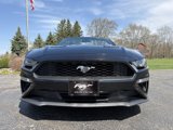 Used 2020 Ford Mustang Premium image 2