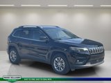 View Video