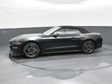 Used 2023 Ford Mustang Premium image 4