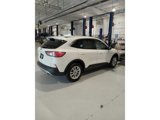 Certified 2022 Ford Escape SE w/ Convenience Package image 5