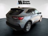 Used 2022 Ford Escape SE w/ Convenience Package image 3