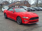 Used 2023 Ford Mustang Premium image 3