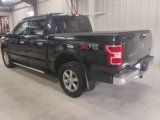 Used 2020 Ford F150 XLT w/ Equipment Group 302A Luxury image 3