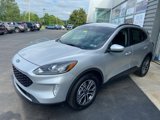 Used 2020 Ford Escape SEL image 2