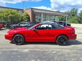 Used 1997 Ford Mustang Cobra image 5