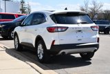 Used 2020 Ford Escape SE image 6