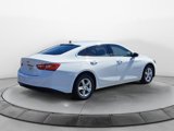 Certified 2024 Chevrolet Malibu LS image 6