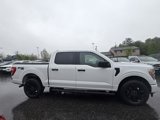 Used 2022 Ford F150 XL w/ STX Black Appearance Package image 2