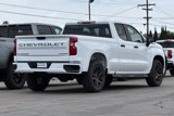New 2025 Chevrolet Silverado 1500 Custom w/ Turbomax Blackout Package image 4