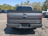 Used 2013 Ford F150 FX2 w/ Luxury Equipment Group image 4
