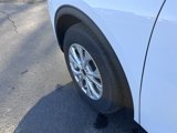 New 2025 Ford Escape Active w/ Active Premium Tech Pack image 4