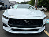Certified 2024 Ford Mustang Premium image 4