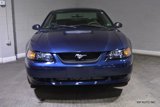 Used 2001 Ford Mustang Premium image 5