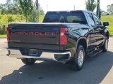 Used 2020 Chevrolet Silverado 1500 LT w/ All-Star Edition image 4