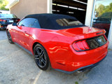 Used 2020 Ford Mustang Convertible w/ Equipment Group 101A image 6
