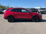 Used 2020 Ford Escape SE image 3