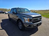 Used 2019 Ford F150 XLT w/ Equipment Group 302A Luxury image 3