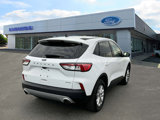 Used 2022 Ford Escape SE w/ Convenience Package image 5