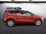 Used 2019 Ford Escape SE image 6