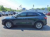 Used 2022 Ford Escape SE w/ Convenience Package image 4