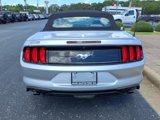Used 2019 Ford Mustang Premium image 4