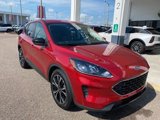 Certified 2022 Ford Escape SE w/ SE Sport Appearance Package image 4