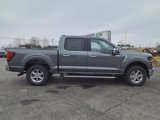 New 2024 Ford F150 XLT w/ Equipment Group 302A MID image 3