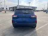 Used 2022 Ford Escape SE w/ SE Sport Appearance Package image 5