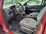 Used 2019 Ford Escape SE image 2