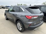 Used 2022 Ford Escape SE w/ Convenience Package image 2
