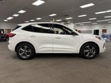 Used 2023 Ford Escape ST-Line image 3