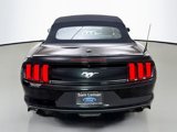 Used 2016 Ford Mustang Premium image 6