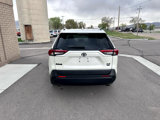 Used 2021 Toyota RAV4 XLE Premium image 6