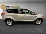 Used 2014 Ford Escape SE image 4