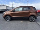 Used 2020 Ford EcoSport SES image 4
