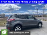 Used 2014 Ford Escape SE w/ Equipment Group 201A image 2