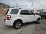 Used 2010 Ford Escape Limited image 4